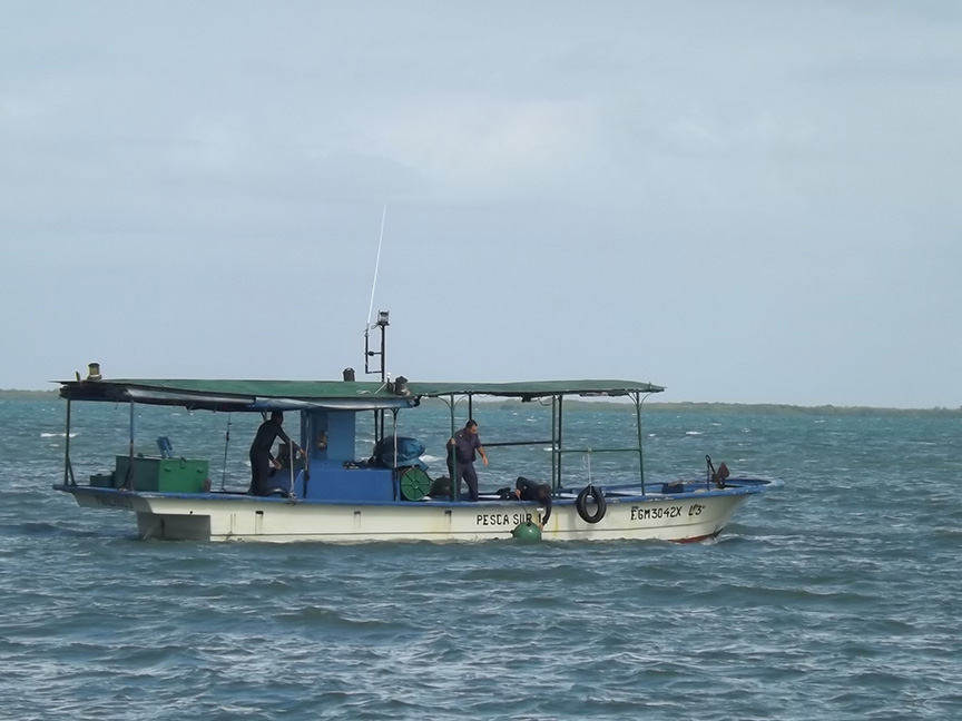 Ejercicio de defensa del litoral en el Bastión 2016 // Foto Marlene Herrera