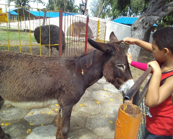 Diversión en la semana de receso // Foto Eliexer Peláez