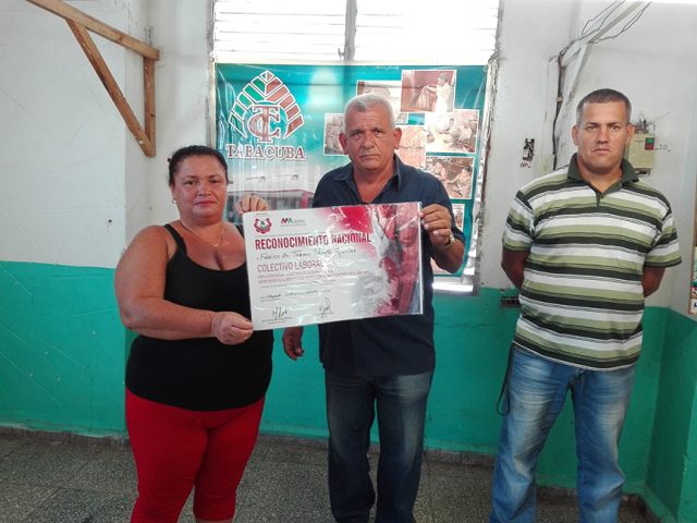 Reconocimiento a la Fábrica de tabacos Paquito Rosales // Foto Marlene Herrera