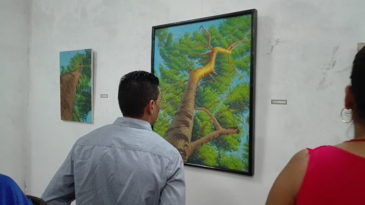 Expo Desciende // Foto Marlene Herrera