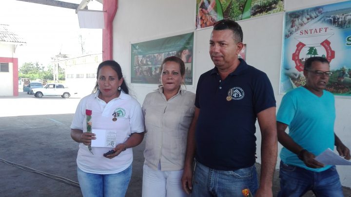 Distinción Carlos Baliño López a Teresa del Rosario Jiménez Polanco, jefa de los departamentos de terminado y de despalillo, y Gelacio Zambrano Torres, torcedor; con 21 y 29 años en el sector tabacalero, respectivamente // Foto Marlene Herrera