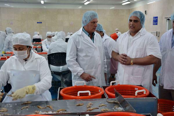 Miguel Díaz-Canel Bermúdez (C), miembro del Buró Politico del Partido Comunista de Cuba, y primer vicepresidente de los Consejos de Estado y de Ministros, visita la Empresa Pesquera Industrial de Granma, junto a él Jorge Áreas Bringues (D), director general de la entidad, en el municipio de Manzanillo, provincia Granma, Cuba, el 24 de enero de 2018. ACN FOTO/Armando Ernesto CONTRERAS TAMAYO/ogm