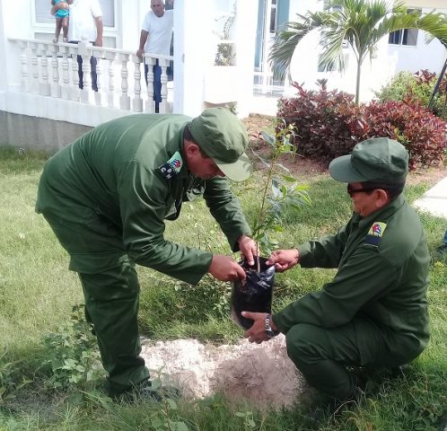 Los máximos dirigentes del Partido y el gobierno en Manzanillo sembraron una de las 66 posturas de Uva Negra, árbol resistente cuyos frutos además del consumo humano // Foto Carmen León