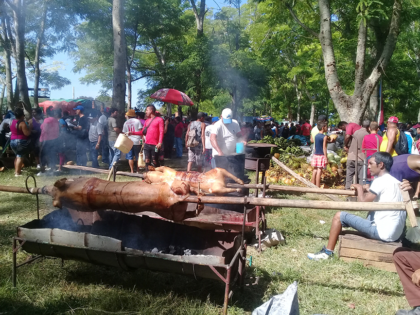 El cerdo asado en púa, una tradición // Foto Denia Fleitas