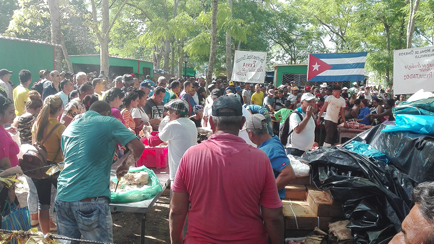 El Bosque, sede de la Feria por el 26 de julio en Manzanillo // Foto Marlene Herrera