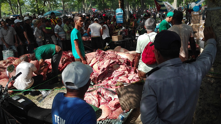 Carne de cerdo entre 17 y 14 pesos la libra // Foto Marlene Herrera