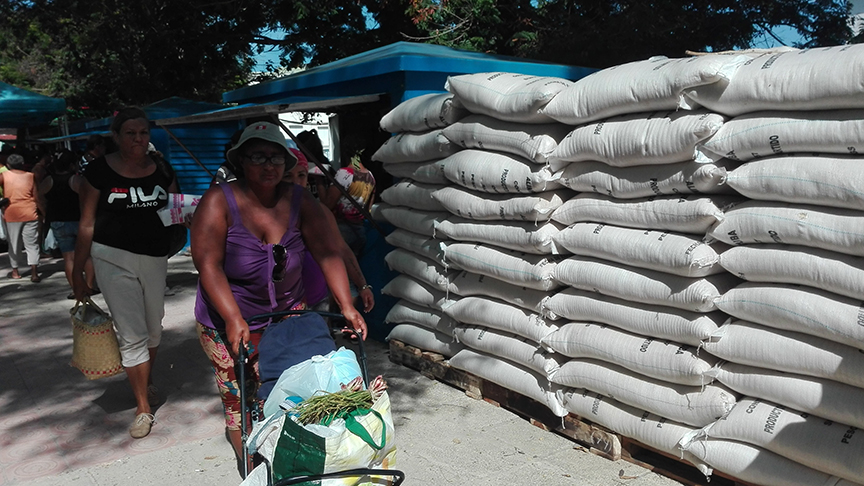 Arroz y otros granos a la venta en la feria // Foto Marlene Herrera