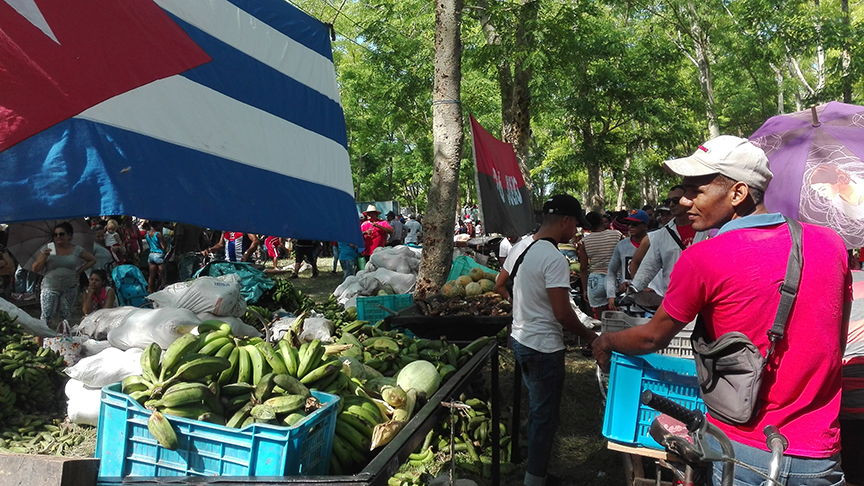 Viandas a disposición de los manzanilleros // Foto Marlene Herrera