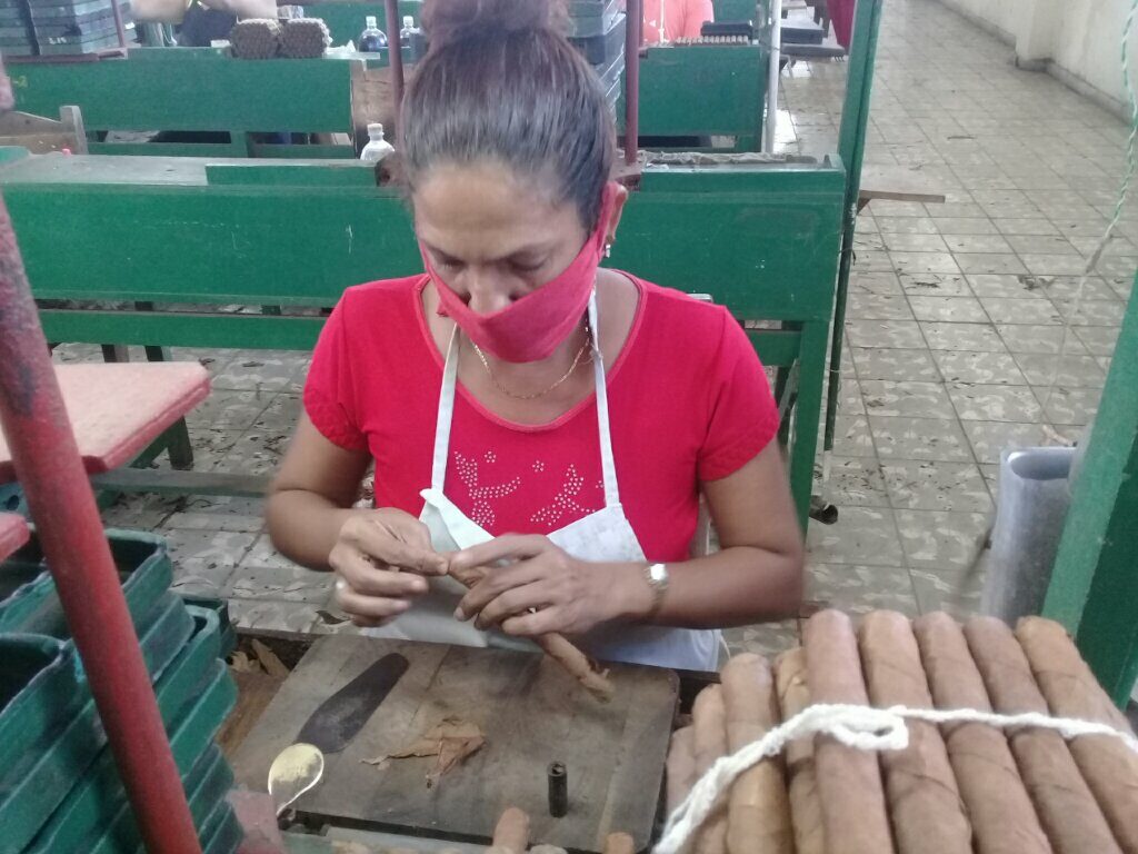 Drialis Núñez Díaz, en quien el oficio de torcedora corre por sus venas por tradición familiar // Foto Denia Fleitas Rosales