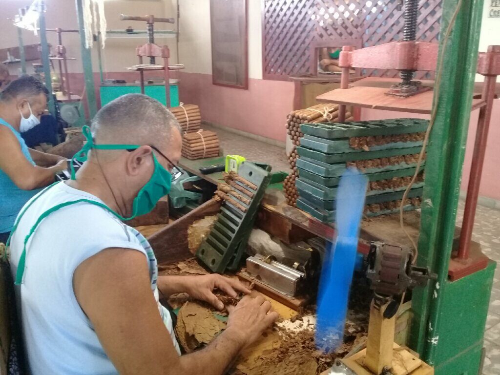 Gelacio Zambrano Torres, torcedor con 20 años de experiencia // Foto Denia Fleitas Rosales