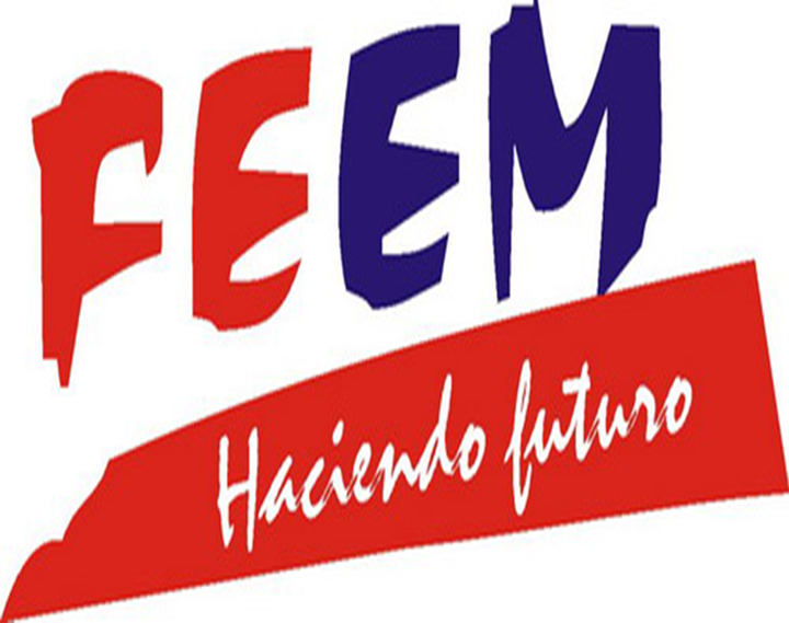 FEEM