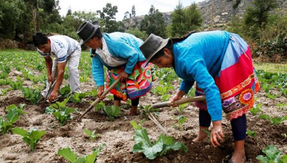El plan promueve políticas públicas integrales para reducir la pobreza, mejorar las condiciones del mundo rural, adaptar la agricultura al cambio climático, acabar con el desperdicio de alimentos y hacer frente al riesgo de desastres.Foto: FAO