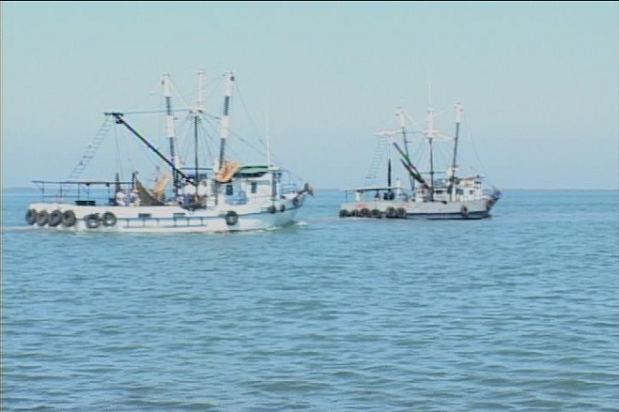 Inicia empresa pesquera de Manzanillo levante de veda del camarón // Foto Golfovisión TV