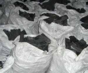 Las primeras 40 toneladas de carbón vegetal cubano rumbo a Estados Unidos