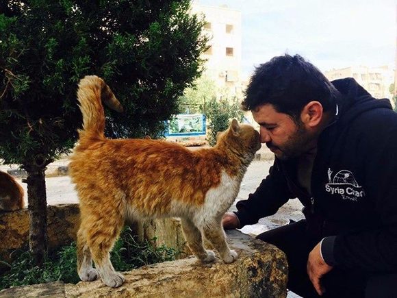 Siria: Piden premio Nobel para el Señor de los gatos de Alepo