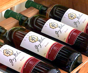 Destacan mejoras en calidad y presentación de vinos artesanales cubanos
