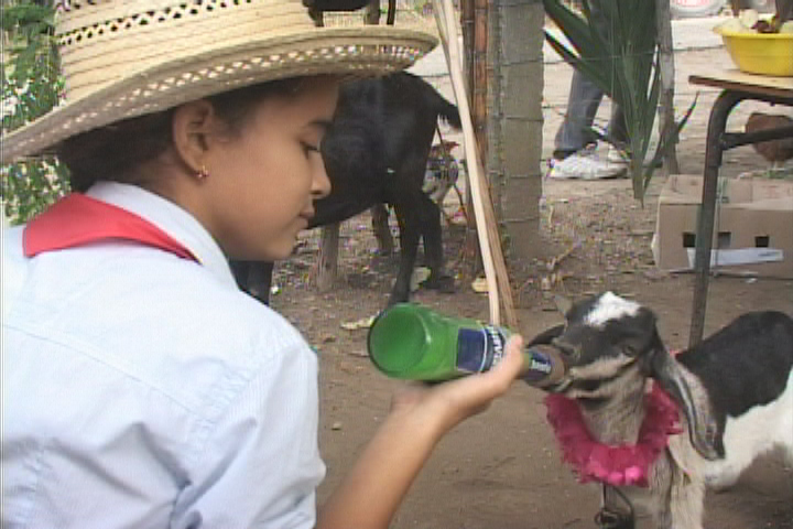 Crean Primera Campiña Pioneril en Manzanillo.