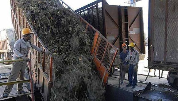 El plan se cumplió solo al 85 por ciento y entre los factores que incidieron en ese resultado se encuentran la intensa escasez de agua que impactó al país entero. Foto: Prensa Latina.