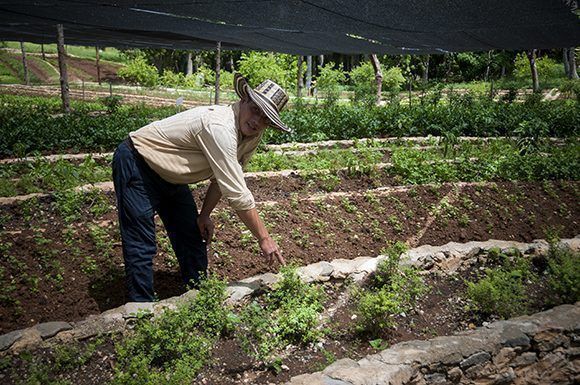 Agricultura, Campesinos, Cuba, Ecología, Fotografía, Medio Ambiente, Sociedad