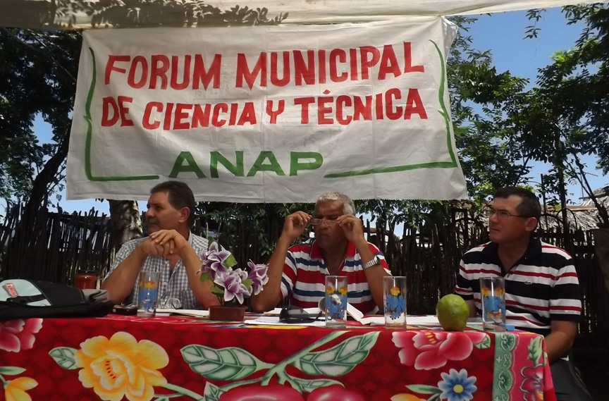 Desarrollan Fórum Municipal de Ciencia y Técnica cooperativistas manzanilleros // Foto Yurisdel Reyes