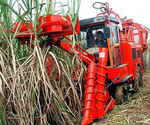 Cuba fabrica máquinas sembradoras de caña para potenciar la zafra