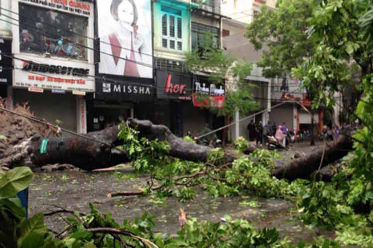 Tifón en Vietnam: marinos desaparecidos y grandes daños materiales