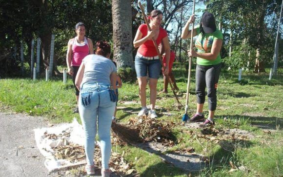 Una ofensiva contra «Irma» ha tenido lugar en toda Cuba. Foto: Antonio García Acuña / Vanguardia