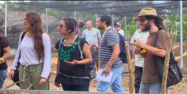 Acoge Manzanillo a participantes de Evento Internacional de Agroecología, Agricultura Sostenible y Cooperativismo // Foto Golfovisión TV