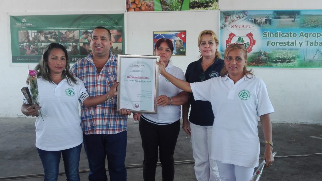 La Unidad Empresarial de Base recibió el diploma que le reconoce como la de mejores resultados de la Empresa de acopio, beneficio y torcido de tabaco en Granma// Foto Marlene Herrera