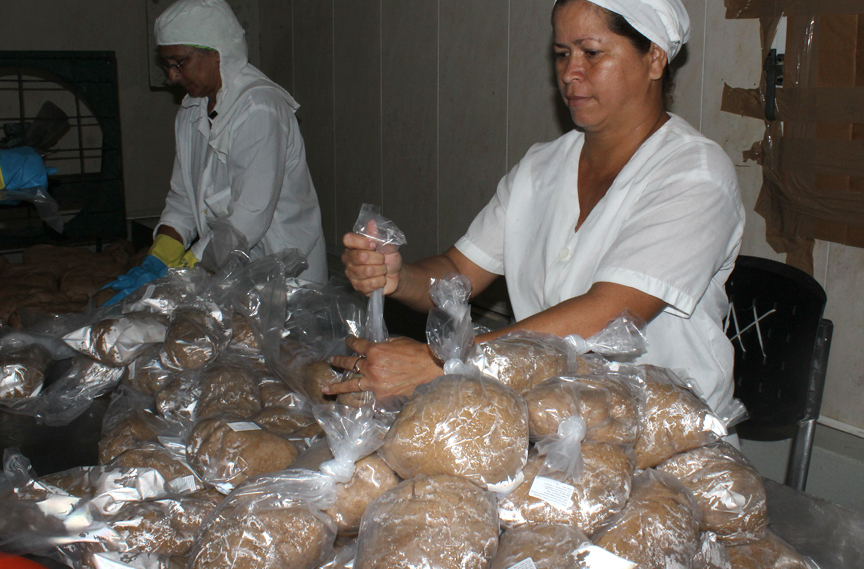 Masa de croqueta entre los productos más demandados por la población // Foto Marlene Herrera