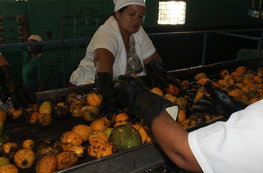 Fábrica de conservas La Manzanillera // Foto Marlene Herrera (Archivo)