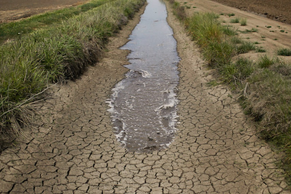 La sequía continuó su impacto afectando el 45 % del territorio nacional