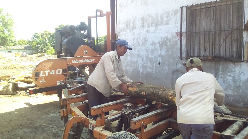 Para lograr todas nuestras producciones contamos con un aserrío portátil Wood-Mizer // Foto Eliexer Peláez