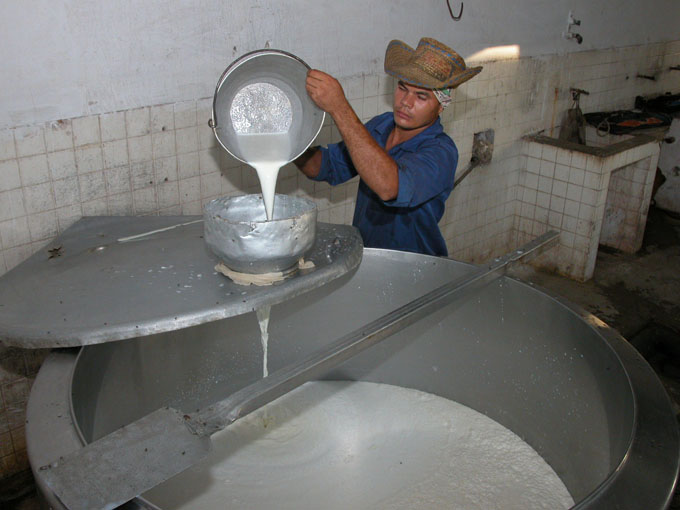 Acopio de leche fresca en puntos refrigerados // Foto La Demajagua Digital