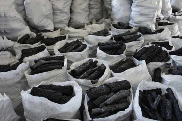 El Carbón vegetal, por concepto de exportaciones, representó durante el pasado año cerca de 30 millones de dólares Foto: Prensa Latina
