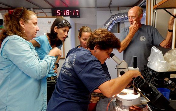 Del 17 de mayo al 11 de junio de 2017, personal científico de Cuba y los Estados Unidos recorrieron mil 430 millas náuticas bordeando las costas de la isla, con el objetivo de evaluar y describir, por primera vez en la historia de las ciencias del mar. Foto: Patricia González/ ICIMAR.
