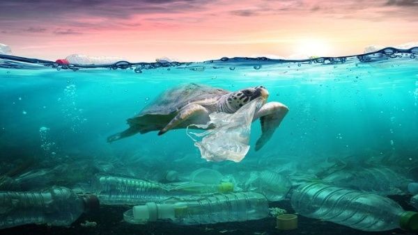 Esta celebración inició en 2009 como una iniciativa para frenar la inminente contaminación de los océanos del planeta tierra. | Foto: Getty Images