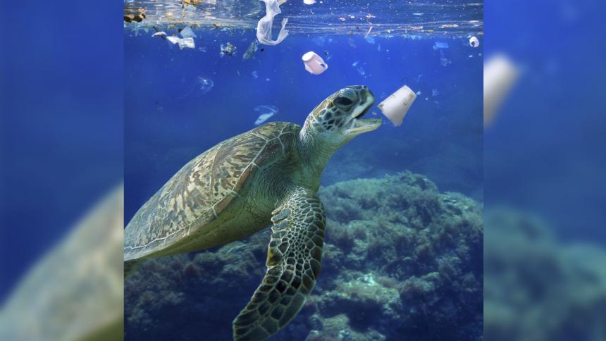 Entre 4 y 12 millones de toneladas de plástico terminan cada año en los mares, pero los científicos estiman que solo se ven en la superficie 250.000 toneladas // Foto: AFP