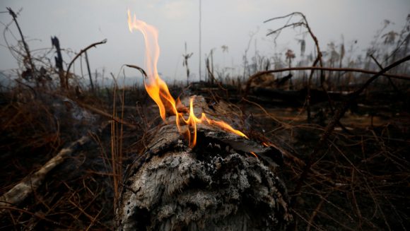 Un tramo de la selva amazónica después de un incendio en Boca do Acre, estado de Amazonas, Brasil. 24 de agosto de 2019. Foto: Bruno Kelly / Reuters