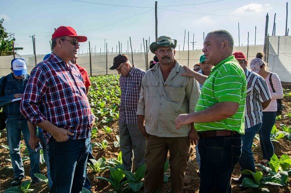 Gustavo Rodríguez Rollero intercambió con directivos y campesinos y los exhortó a continuar esforzándose para lograr los mejores resultados en las producciones agrícolas. Foto: Rafael Fernández/ACN