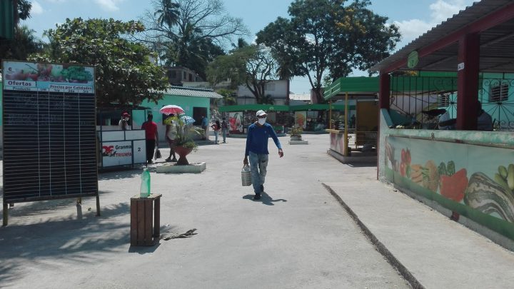 Manzanillo // Foto Marlene Herrera