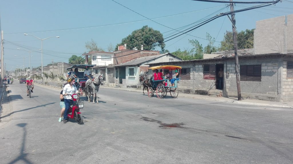 Manzanillo // Foto Marlene Herrera