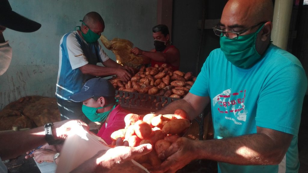 La venta de papas de manera controlada a tres libras por consumidor es bien recibida por los manzanilleros // Foto Marlene Herrera