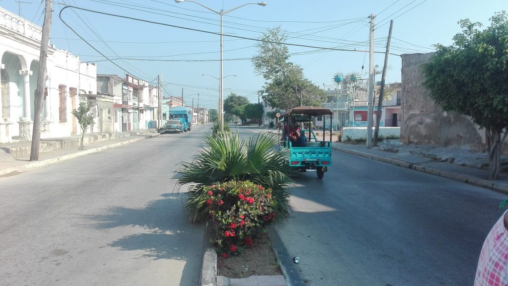 Manzanillo // Foto Marlene Herrera