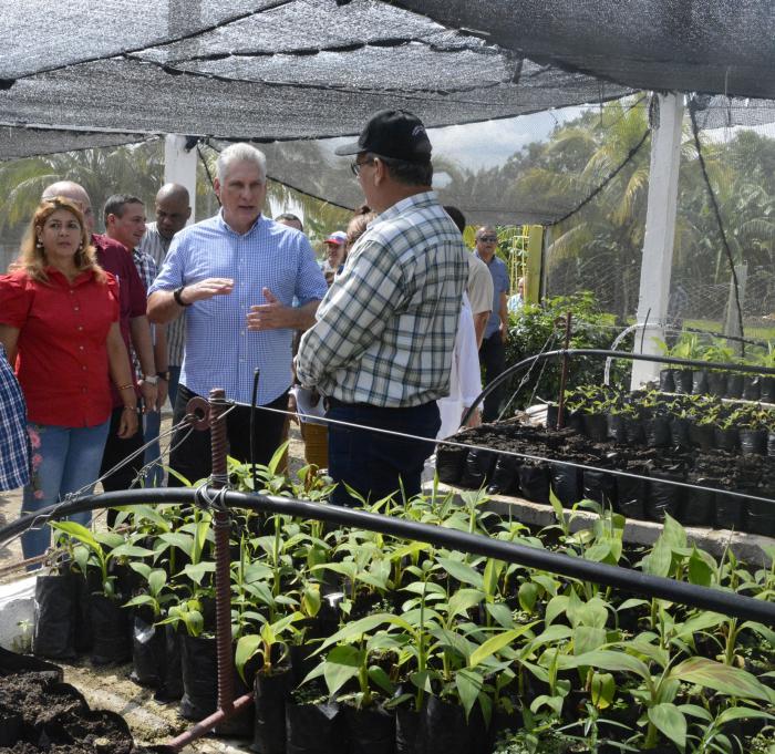  En los recorridos por el país, en pausa ante la situación de la pandemia, el Presidente siempre incluyó en su agenda el escenario productivo. Foto: Estudios Revolución 