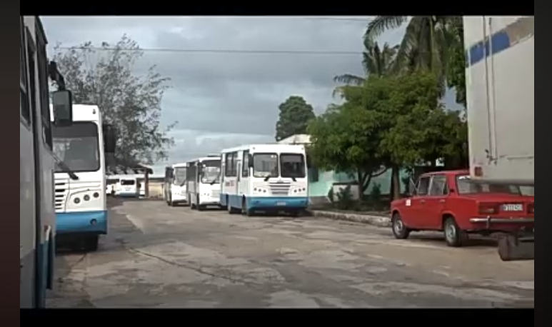 Adoptan medidas para el transporte público en Manzanillo. /Foto Golfovisión TV 