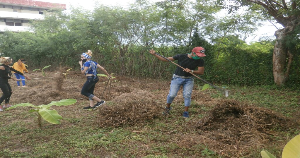 Varias acciones realizan los estudiantes y profesores del campus Blas Roca Calderio de la Universidad de Granma //Foto cortesía de Alina González Menéndez 