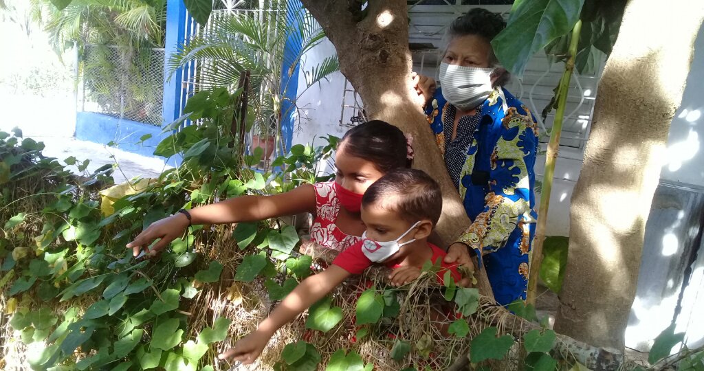 Un nuevo taller infantil bajo Rayitos de sol se creó en el patio de la agricultura urbana y suburbana La Rosita de Manzanillo //Foto Eliexer Pelaez Pacheco