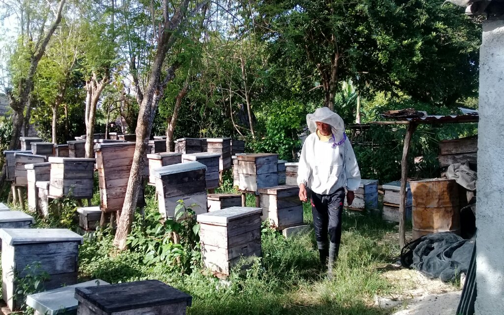 Mariano es un manzanillero que se ha unido a la tarea de la producción de alimentos // Foto Rafael González Castro