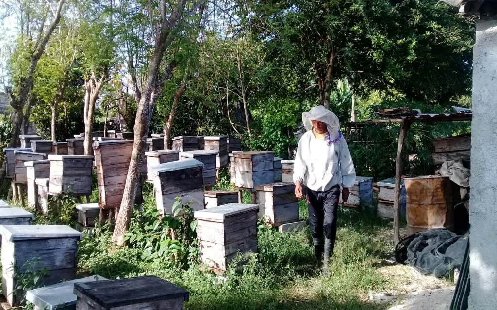 Mariano es un manzanillero que se ha unido a la tarea de la producción de alimentos // Foto  Rafael González Castro 